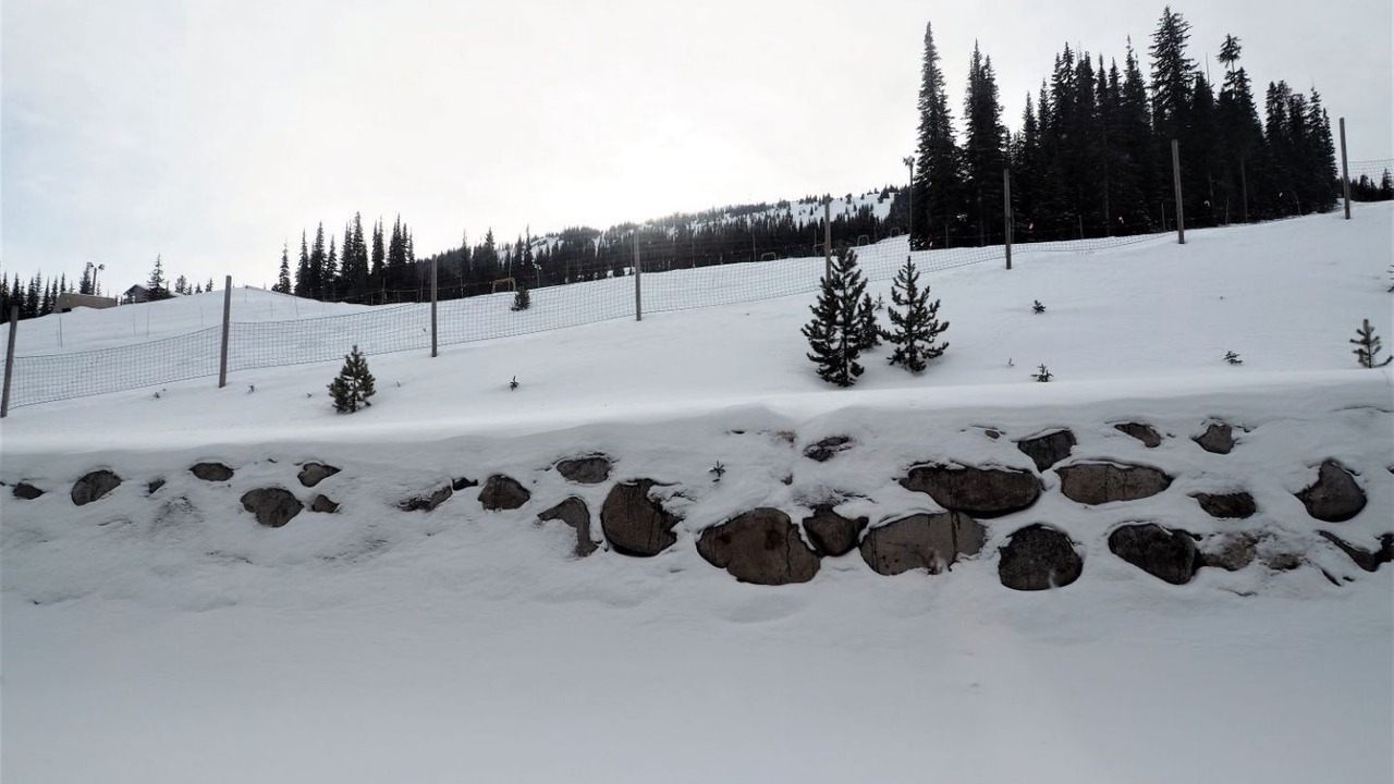 Photo of Others in Okanagan-Similkameen
