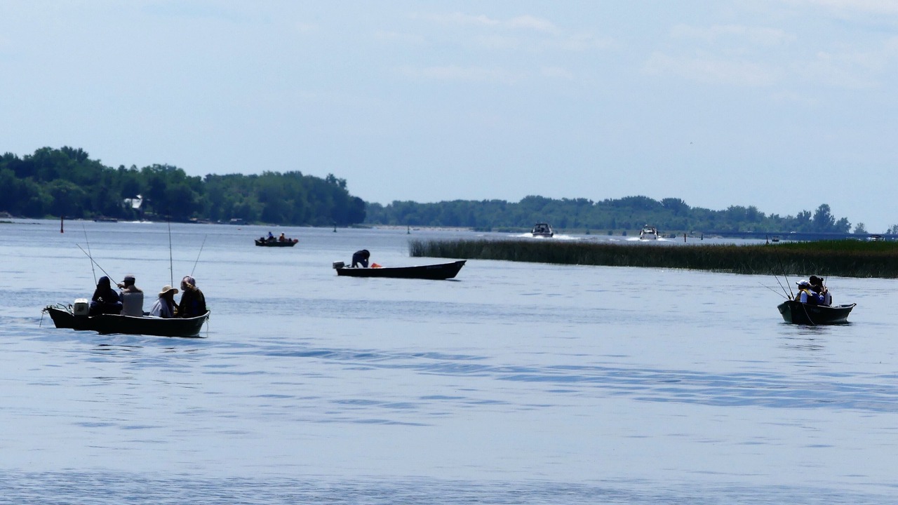 Photo of Others in Lacolle