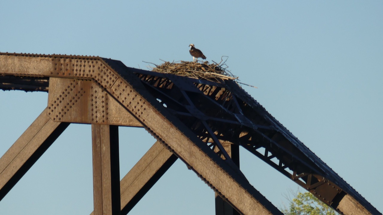 Photo of Others in Lacolle