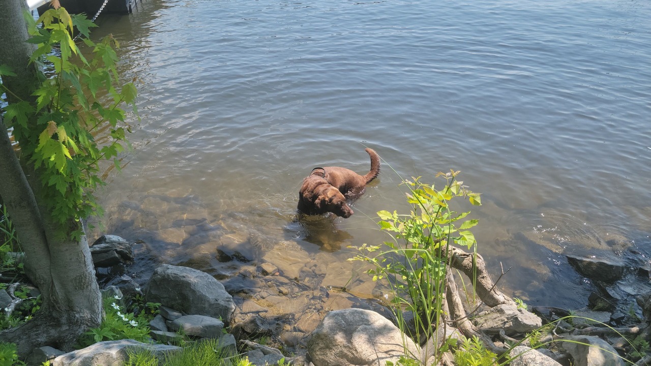 Photo of Others in Lacolle