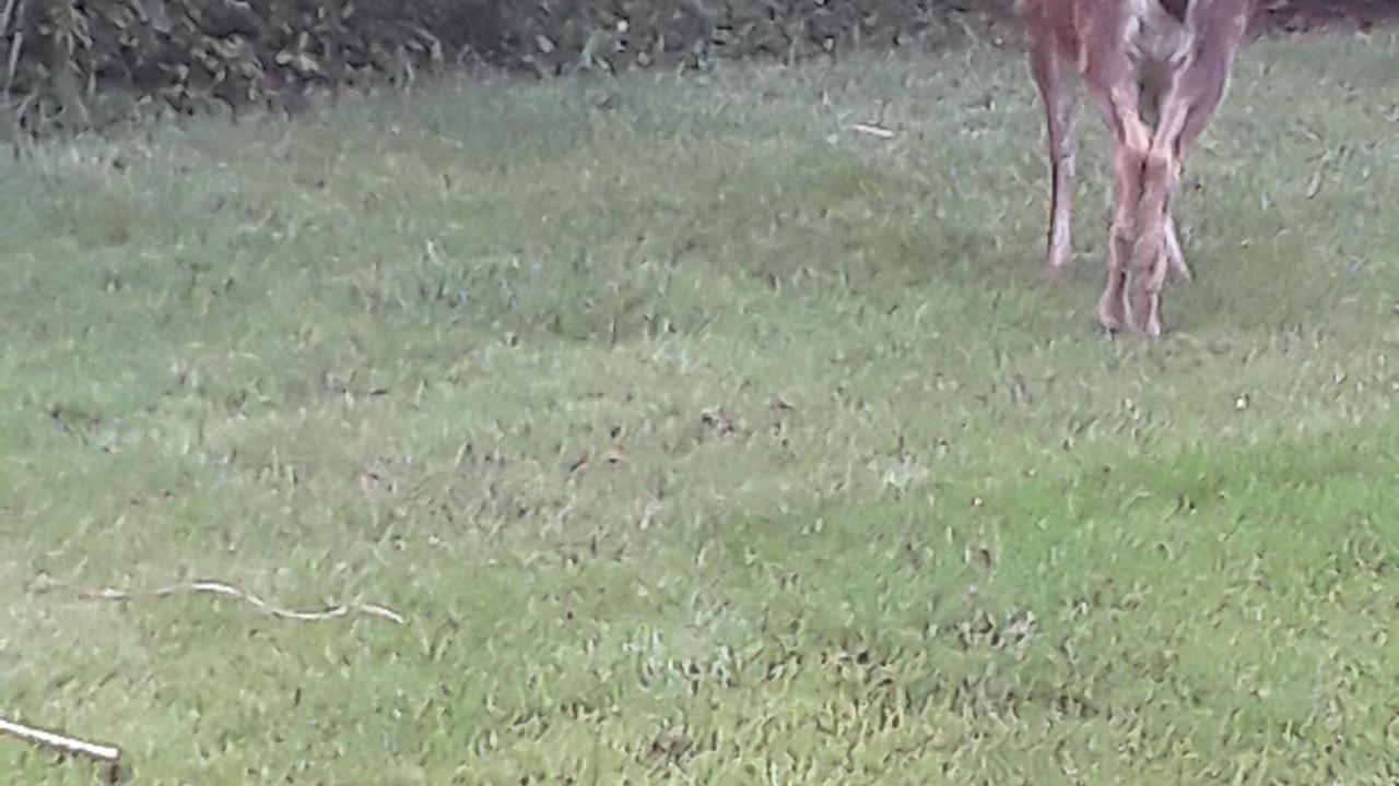 Photo of Outdoor in Halfmoon Bay