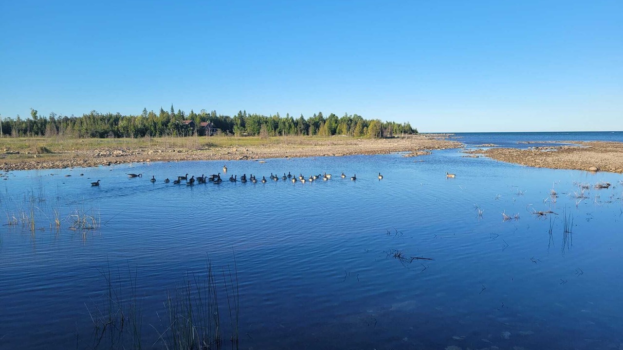Photo of Others in Northern Bruce Peninsula