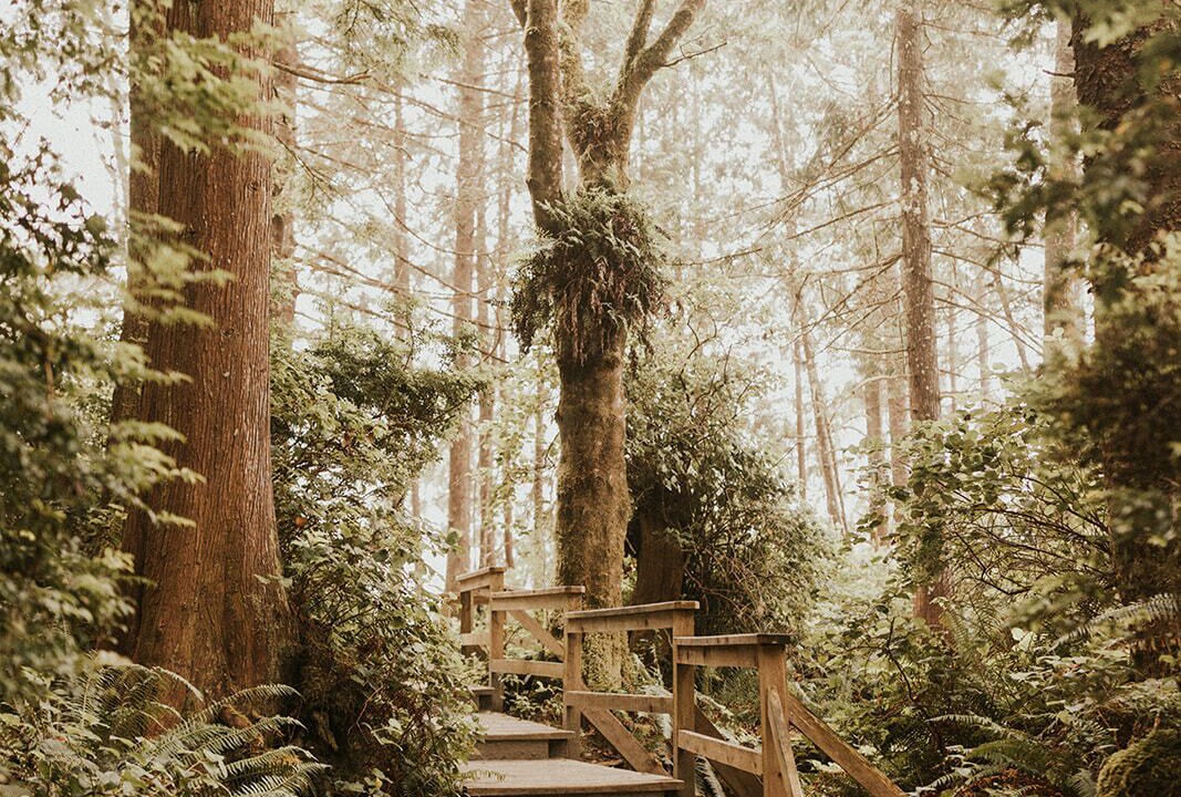 Photo of Outdoor in Ucluelet