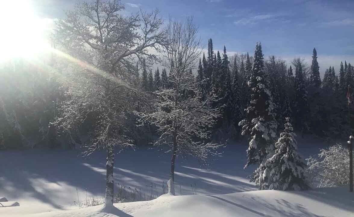 Photo of Others in Minden Hills