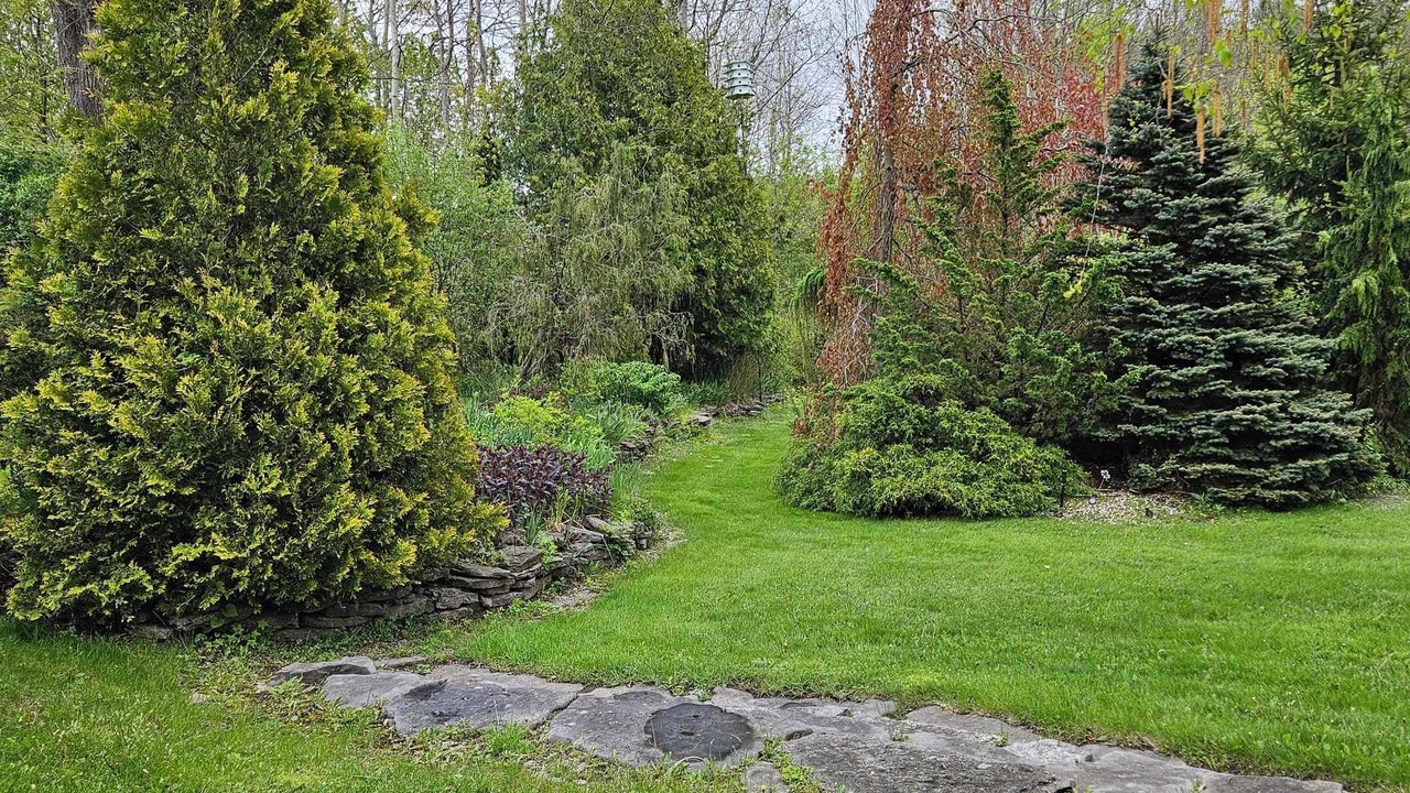 Photo of Outdoor in Picton