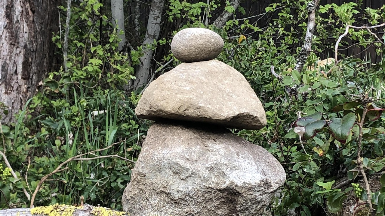 Photo of Outdoor in Nelson