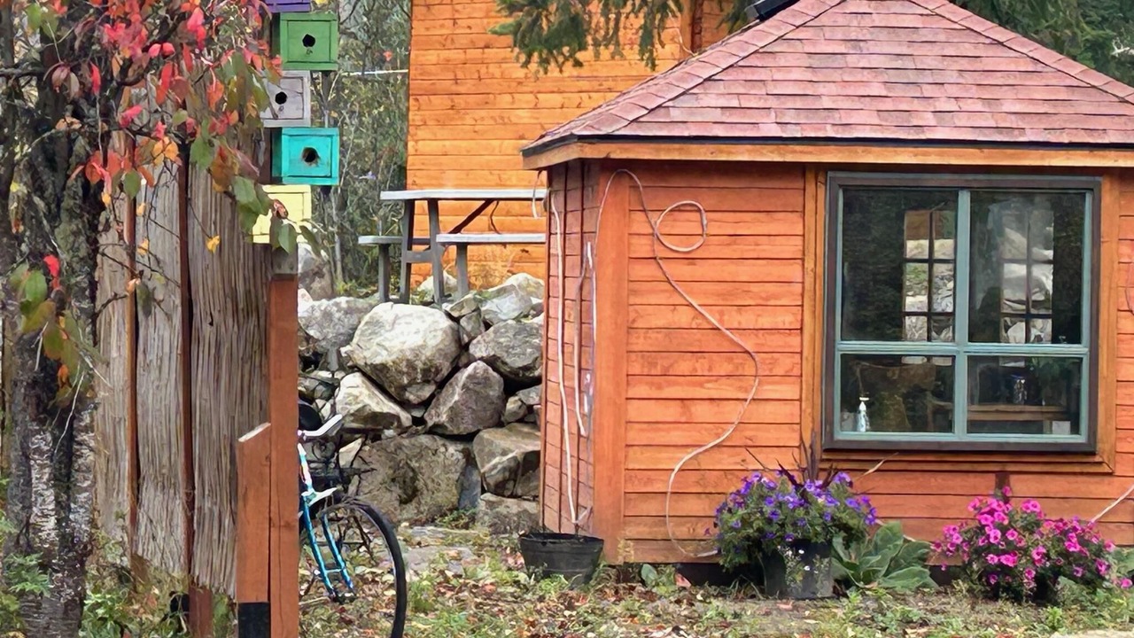 Photo of Others in Nelson