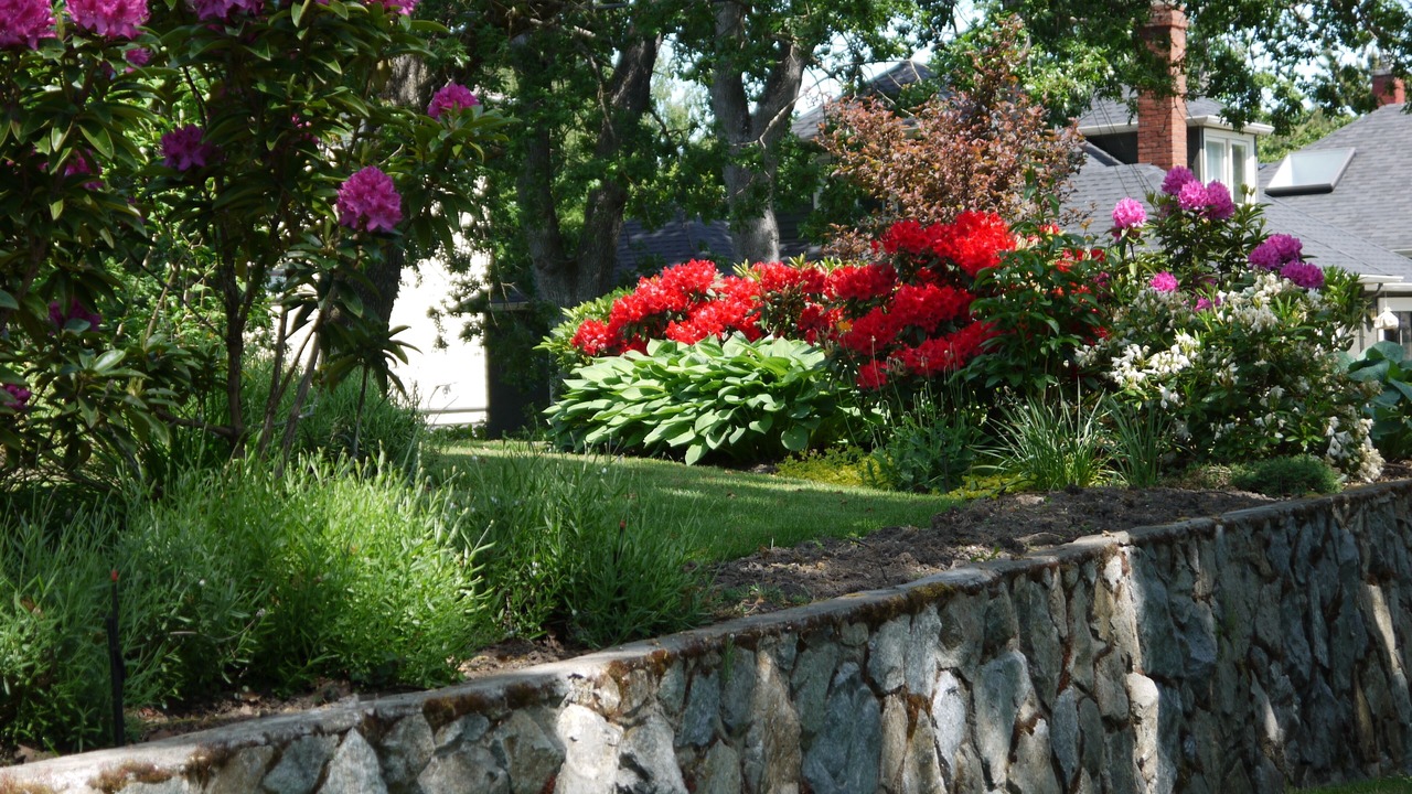 Photo of Outdoor in Oaklands