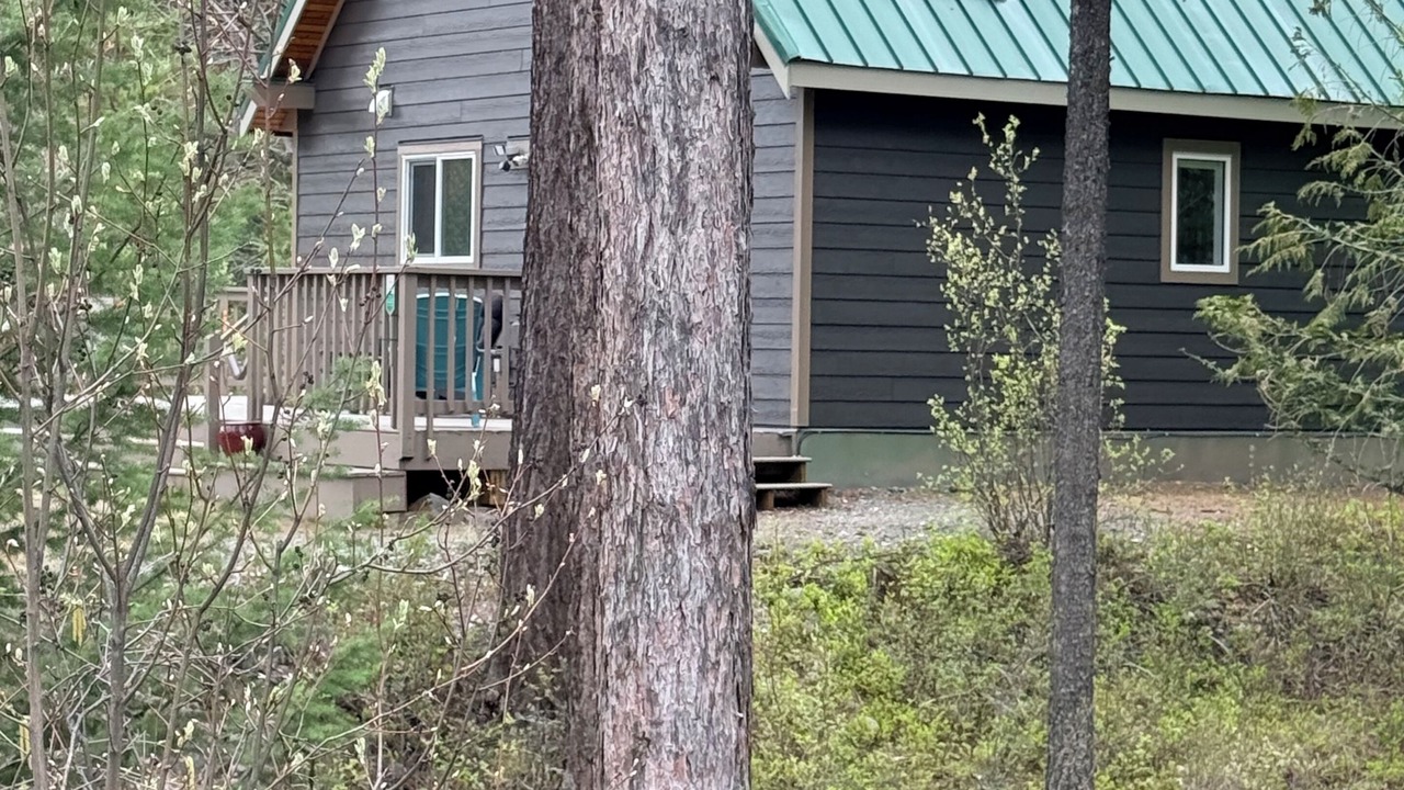 Photo of Outdoor in Moyie