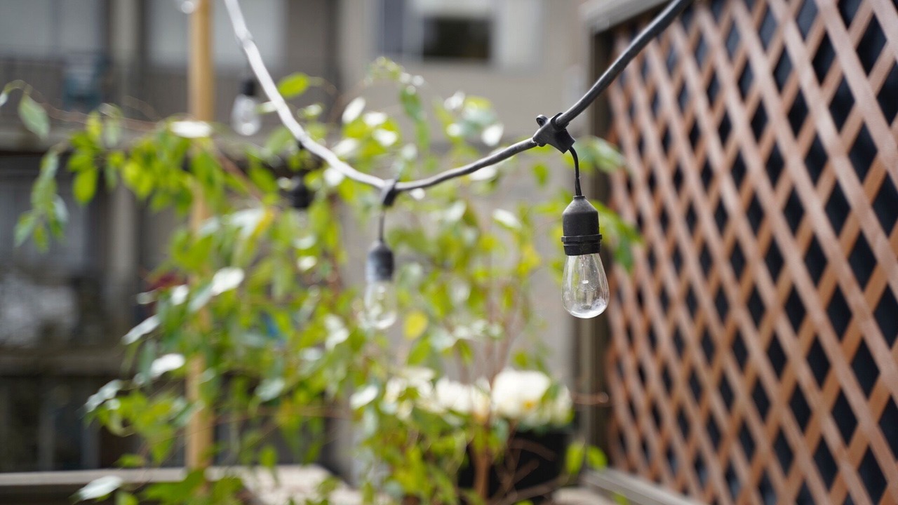 Photo of Outdoor in Kitsilano