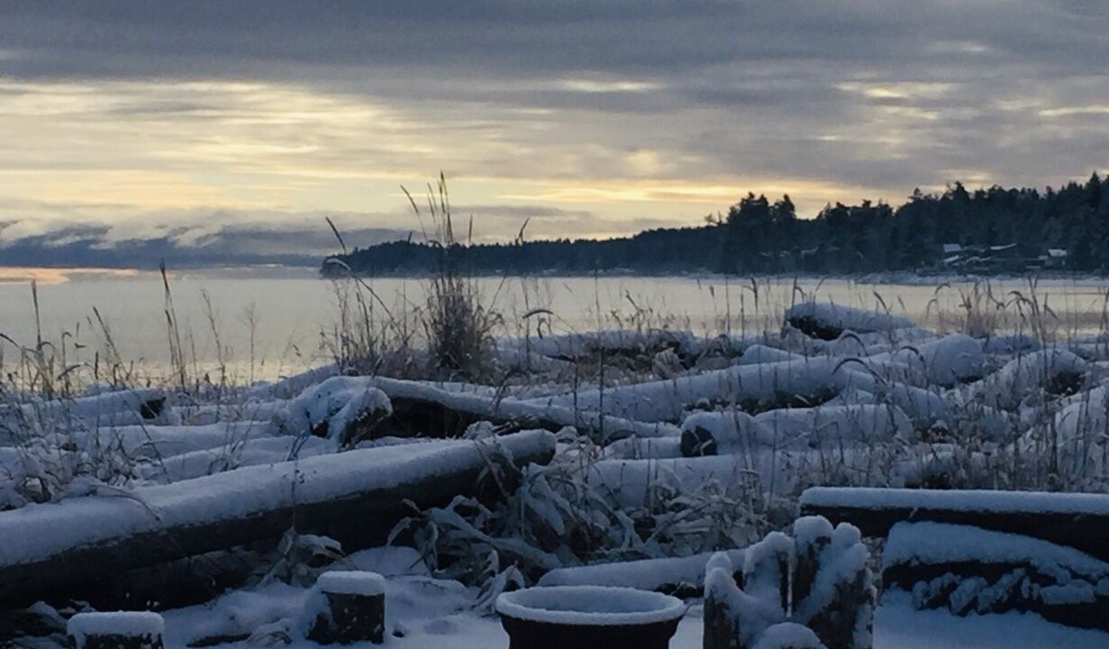 Photo of Outdoor in Black Creek