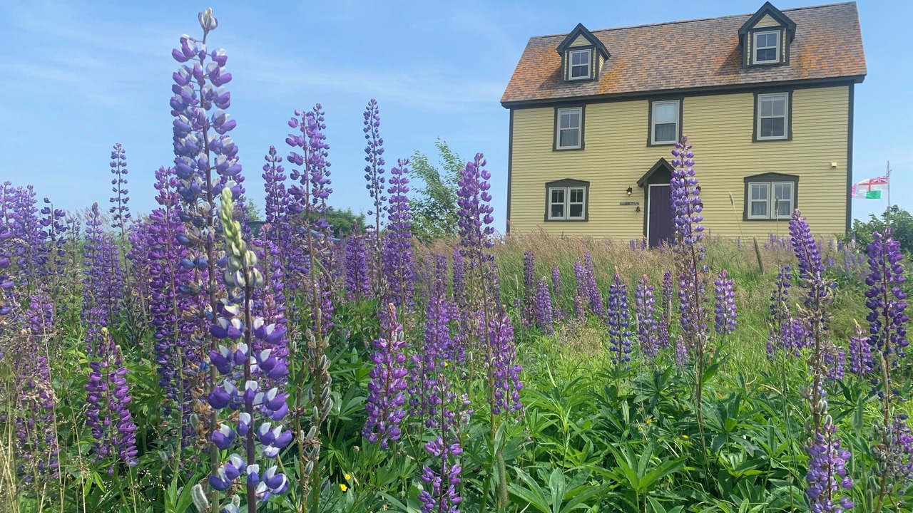 Photo of Outdoor in Trinity