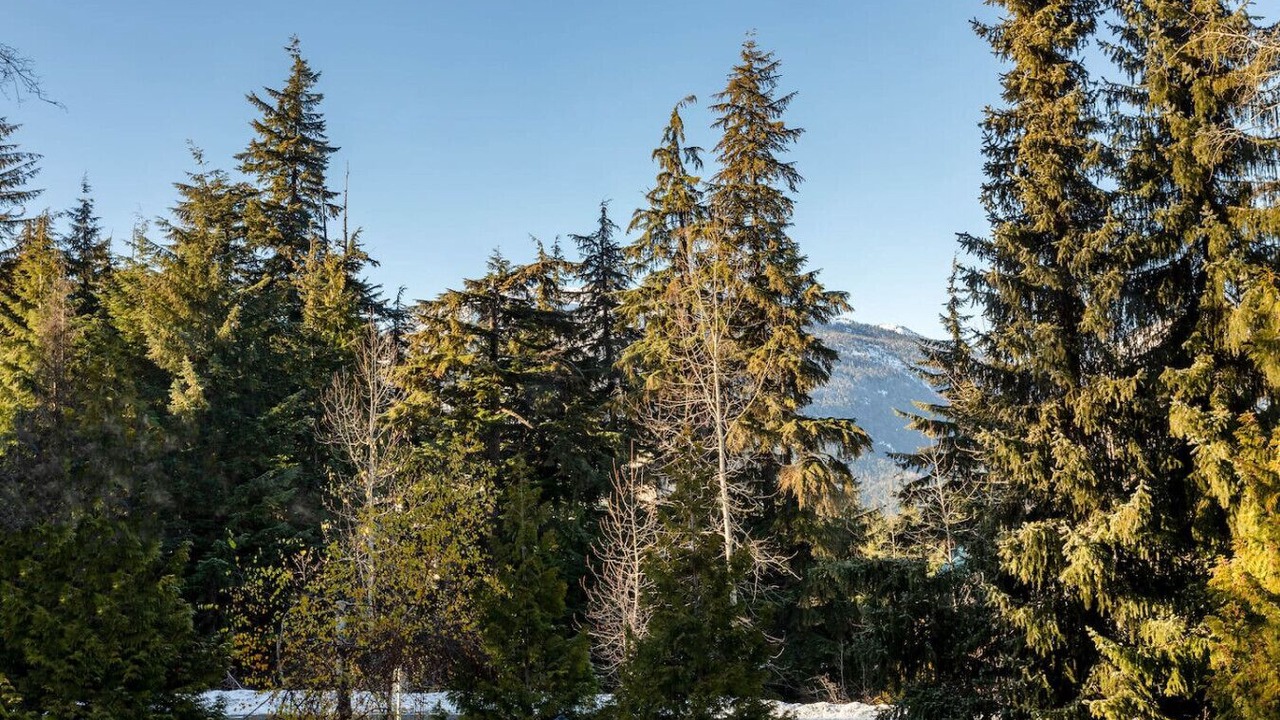 Photo of Others in Blackcomb