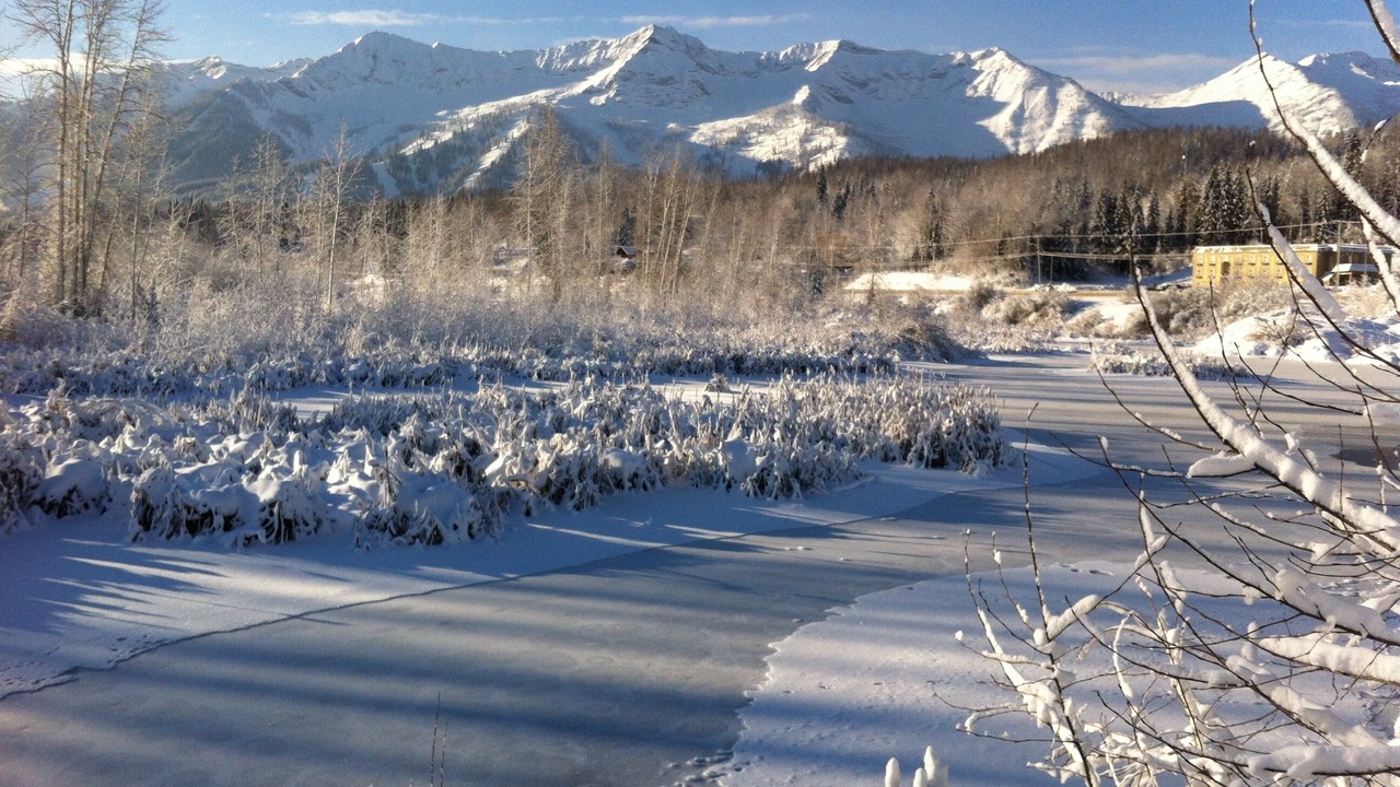 Photo of Others in Fernie