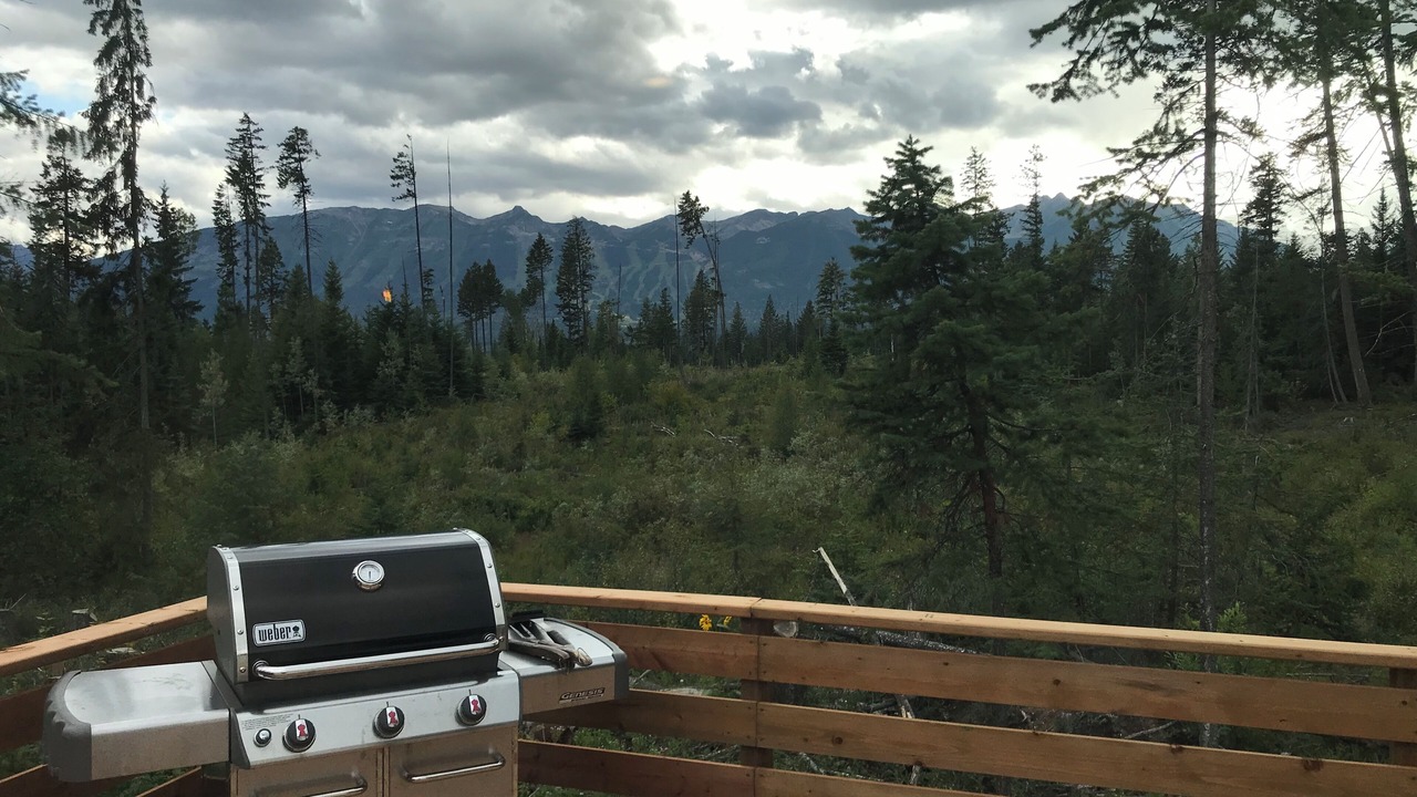 Photo of Outdoor in Golden