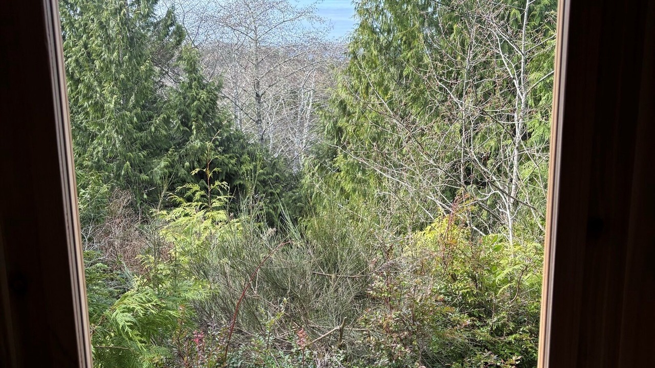 Photo of Others in Tofino