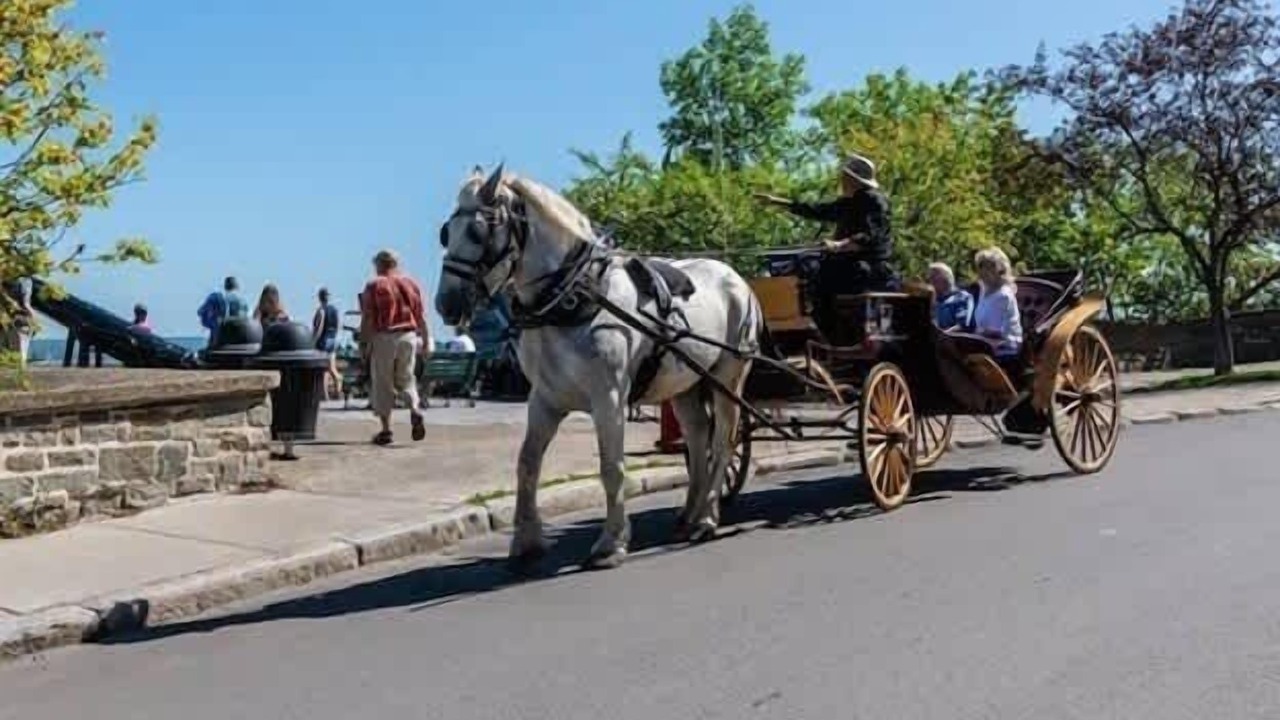 Photo of Others in Old Quebec
