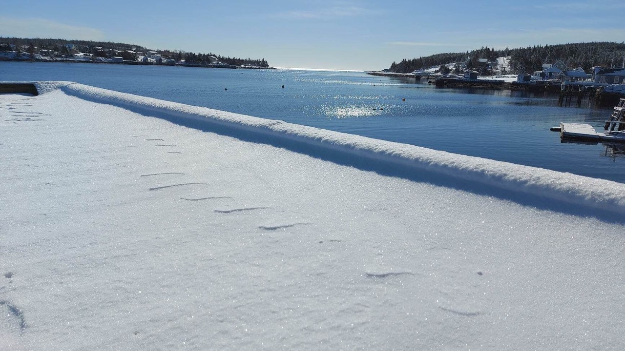 Photo of Others in Ketch Harbour