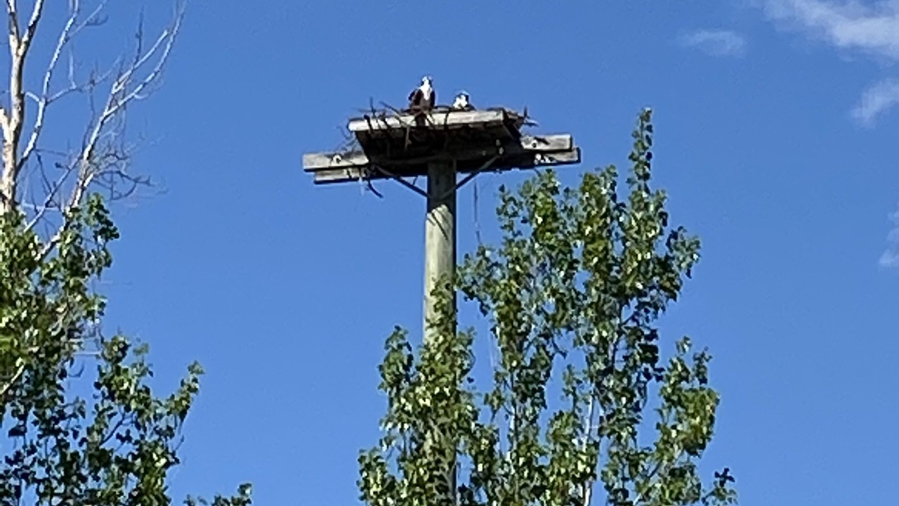 Photo of Others in Invermere