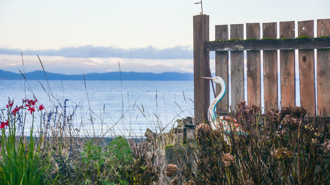 Photo of Others in Regional District of Nanaimo