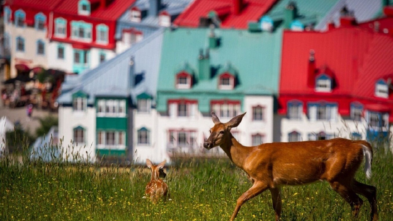 Photo of Others in Lac Superieur Village