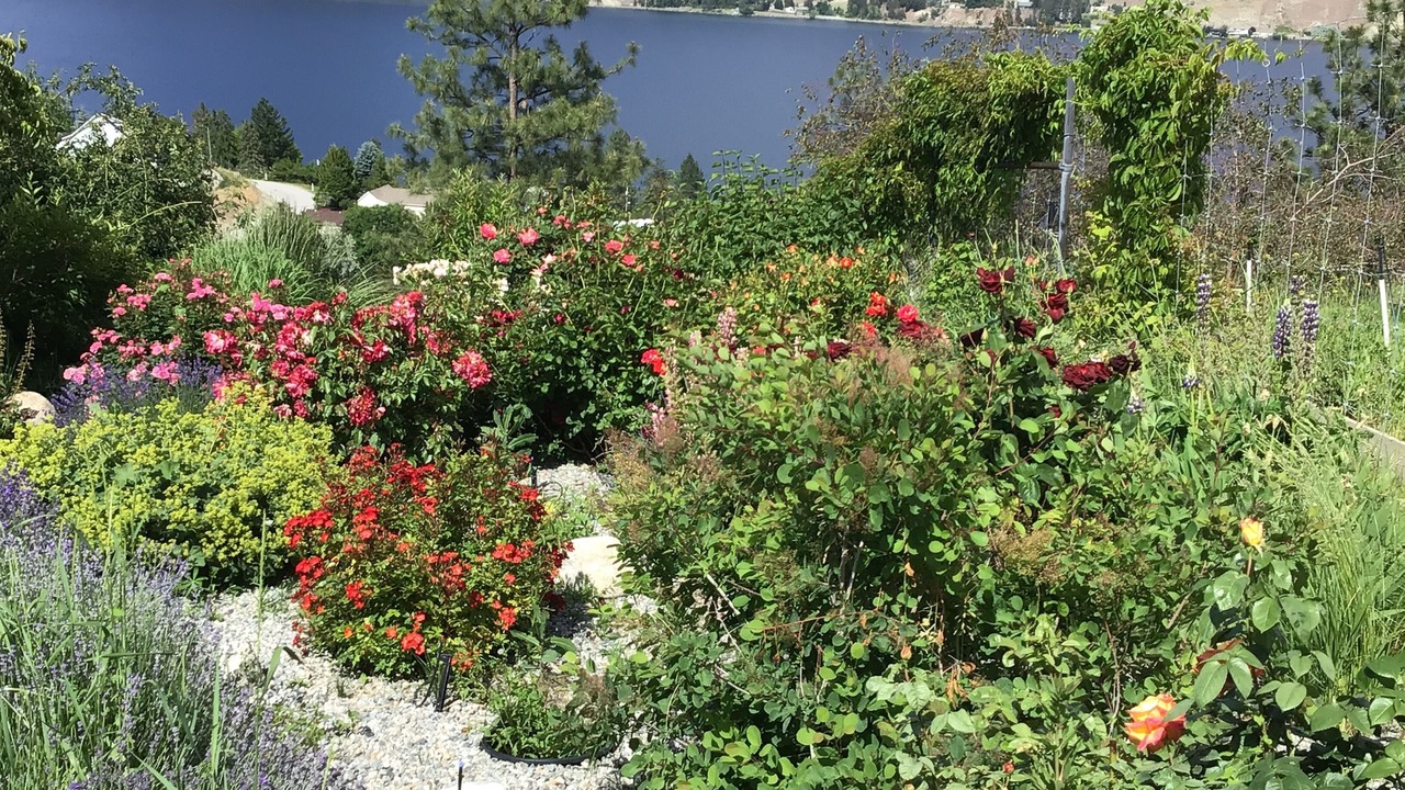 Photo of Outdoor in Okanagan-Similkameen