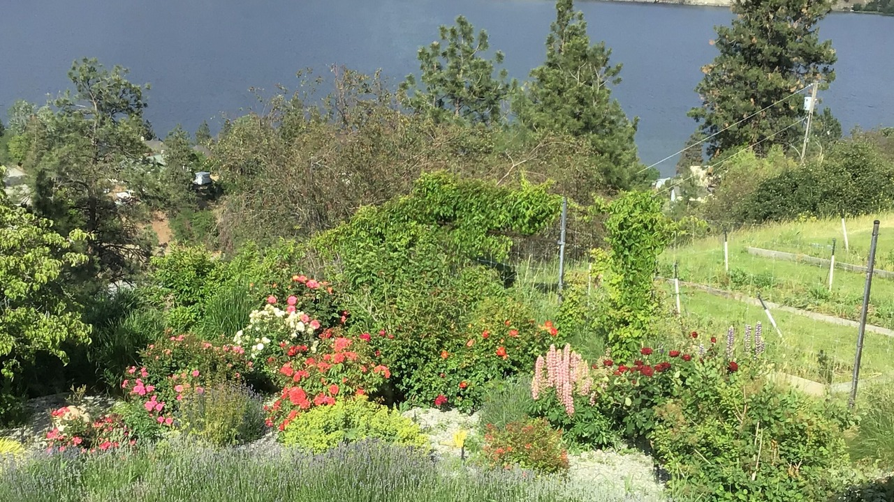 Photo of Outdoor in Okanagan-Similkameen