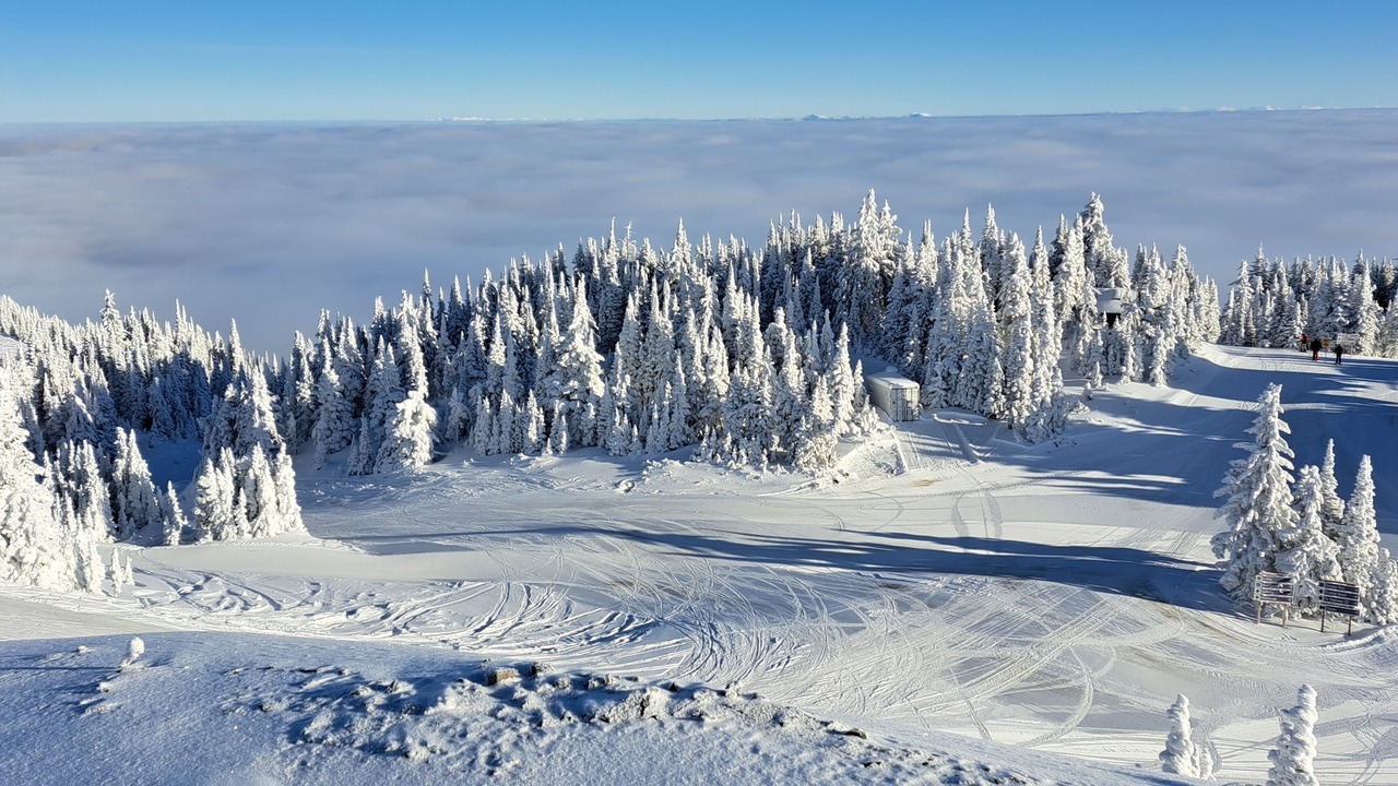 Photo of Others in Sun Peaks