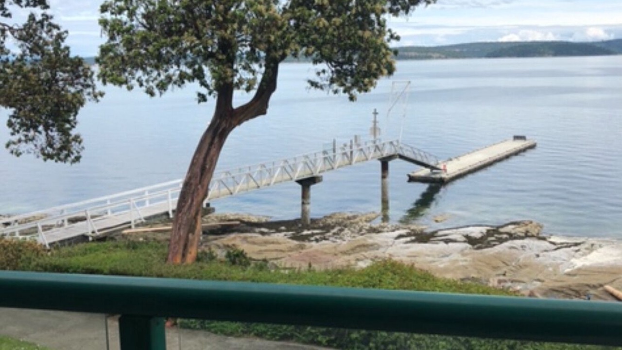Photo of Others in North Oyster