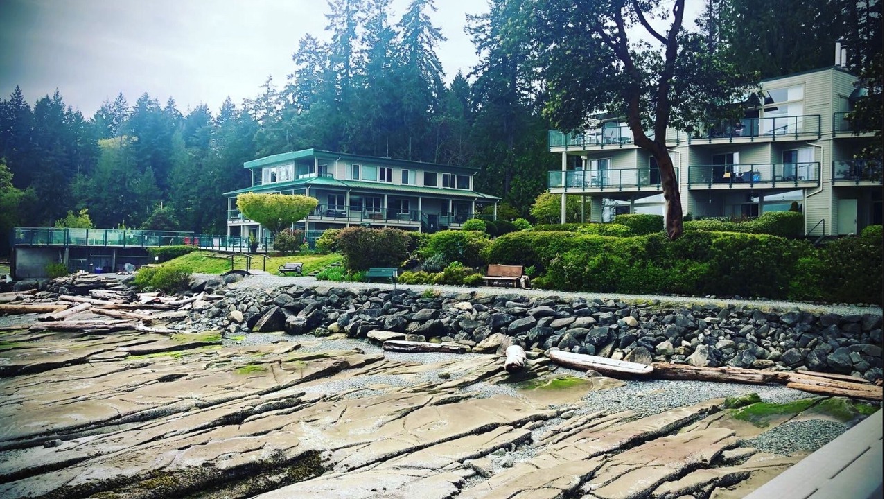 Photo of Outdoor in North Oyster