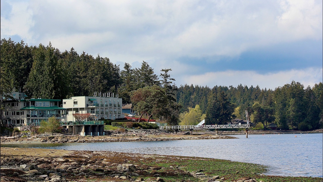 Photo of Others in North Oyster