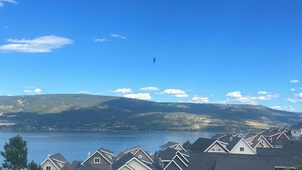 Photo of Others in Central Okanagan