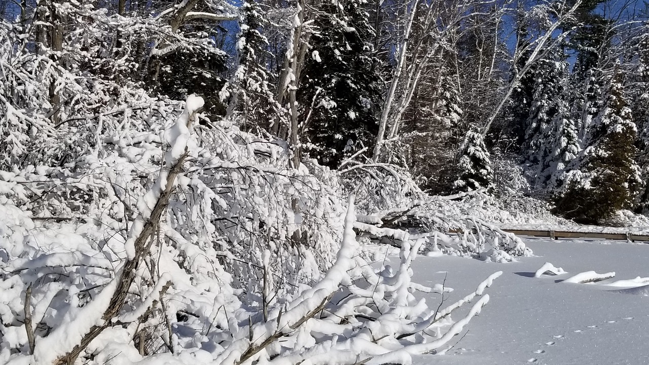Photo of Others in La Peche