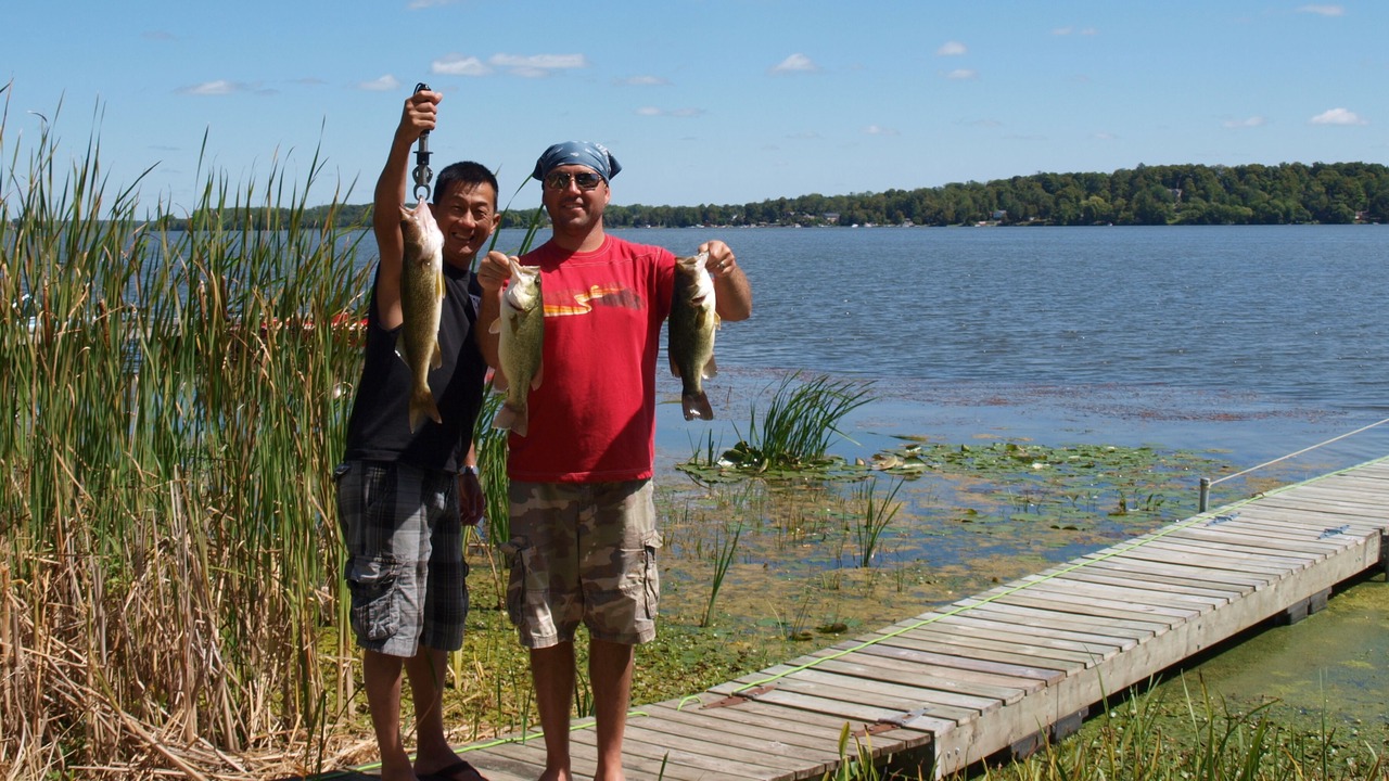 Photo of Others in Kawartha Lakes