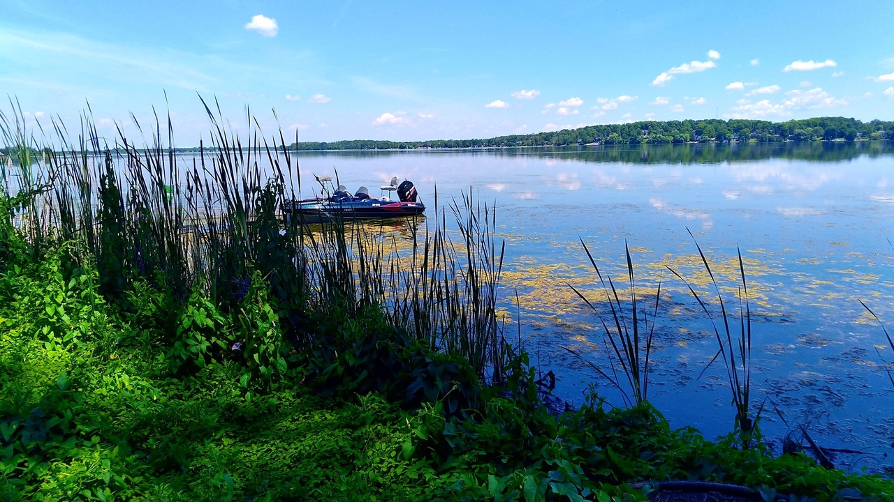 Photo of Others in Kawartha Lakes