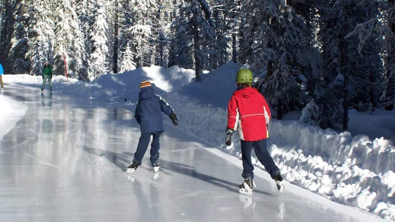 Photo of Others in Apex Mountain