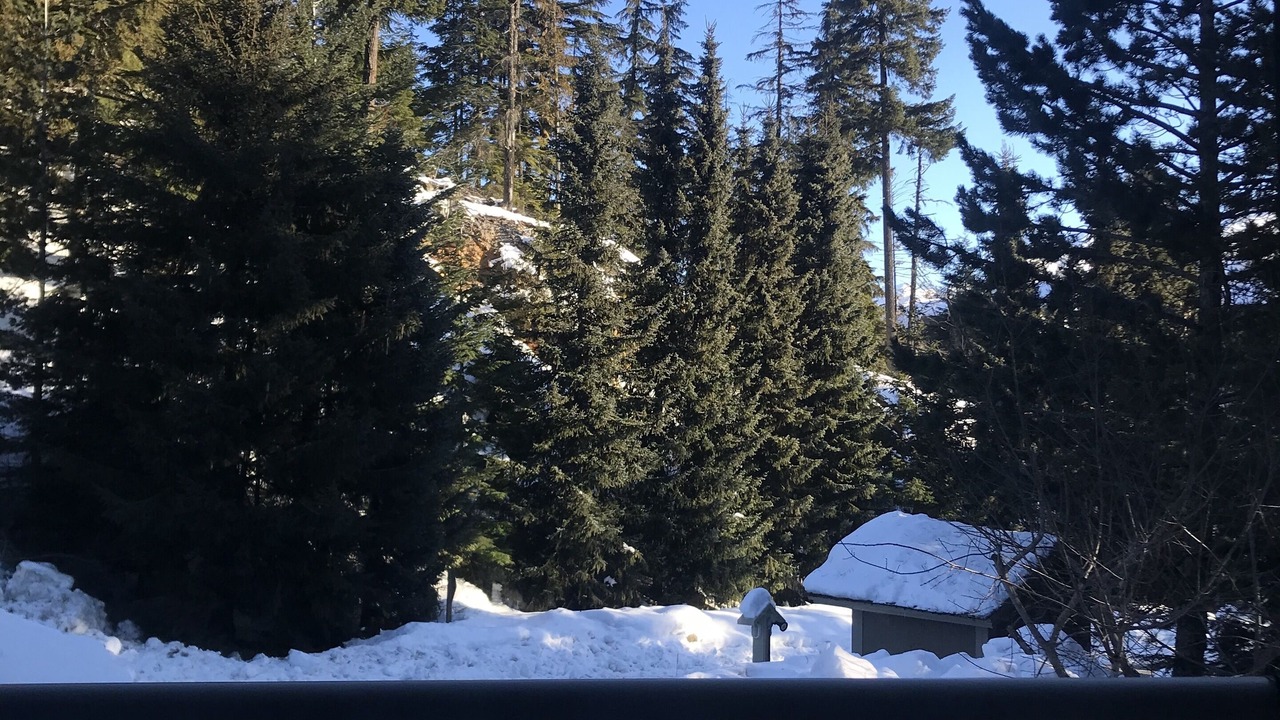 Photo of Outdoor in Alta Vista