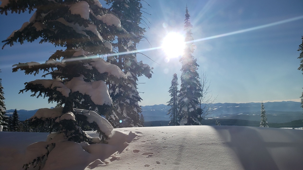 Photo of Others in Snow Pine Estates