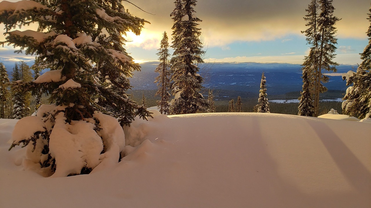 Photo of Others in Snow Pine Estates