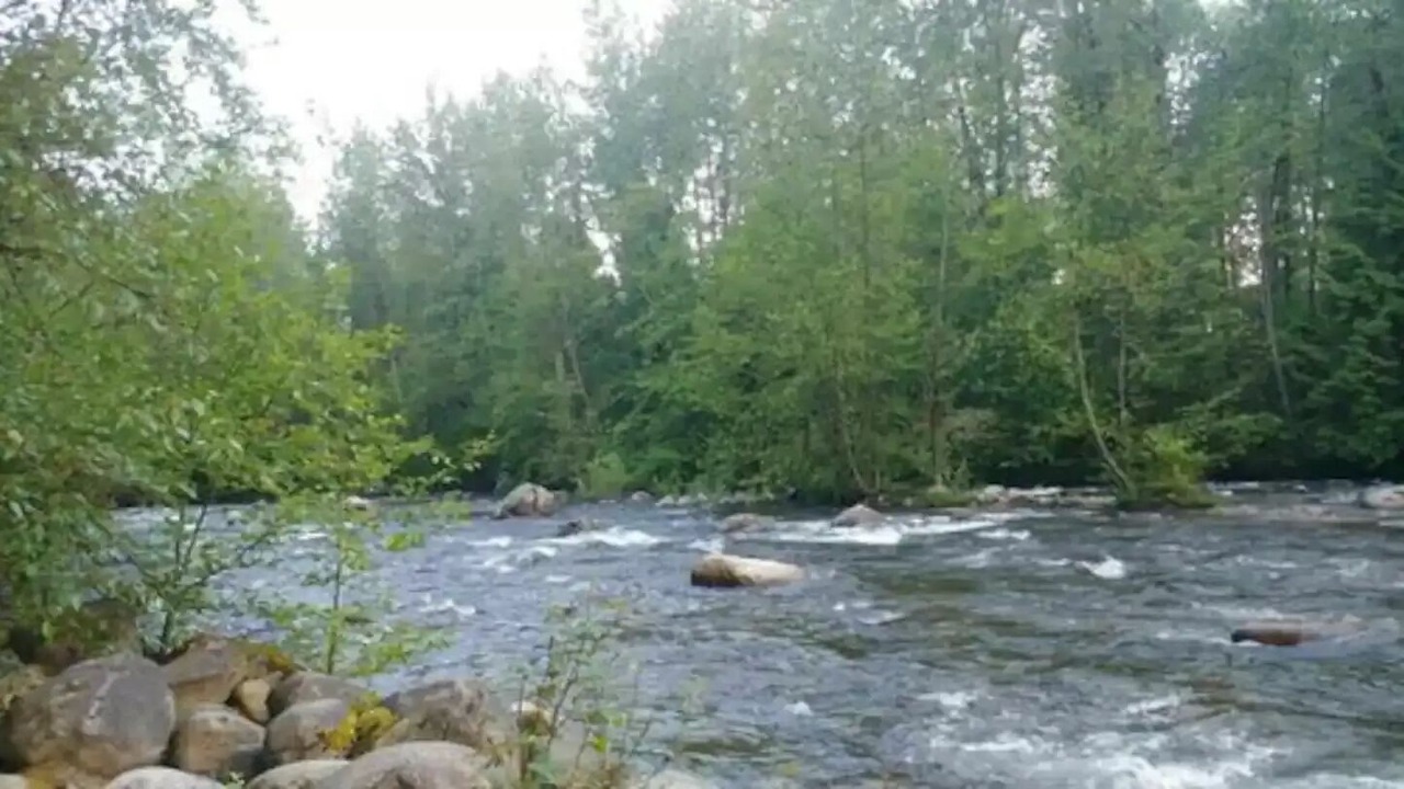 Photo of Others in Coquitlam