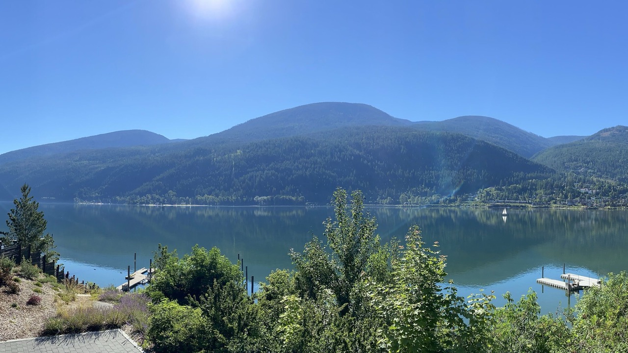 Photo of Others in Nelson