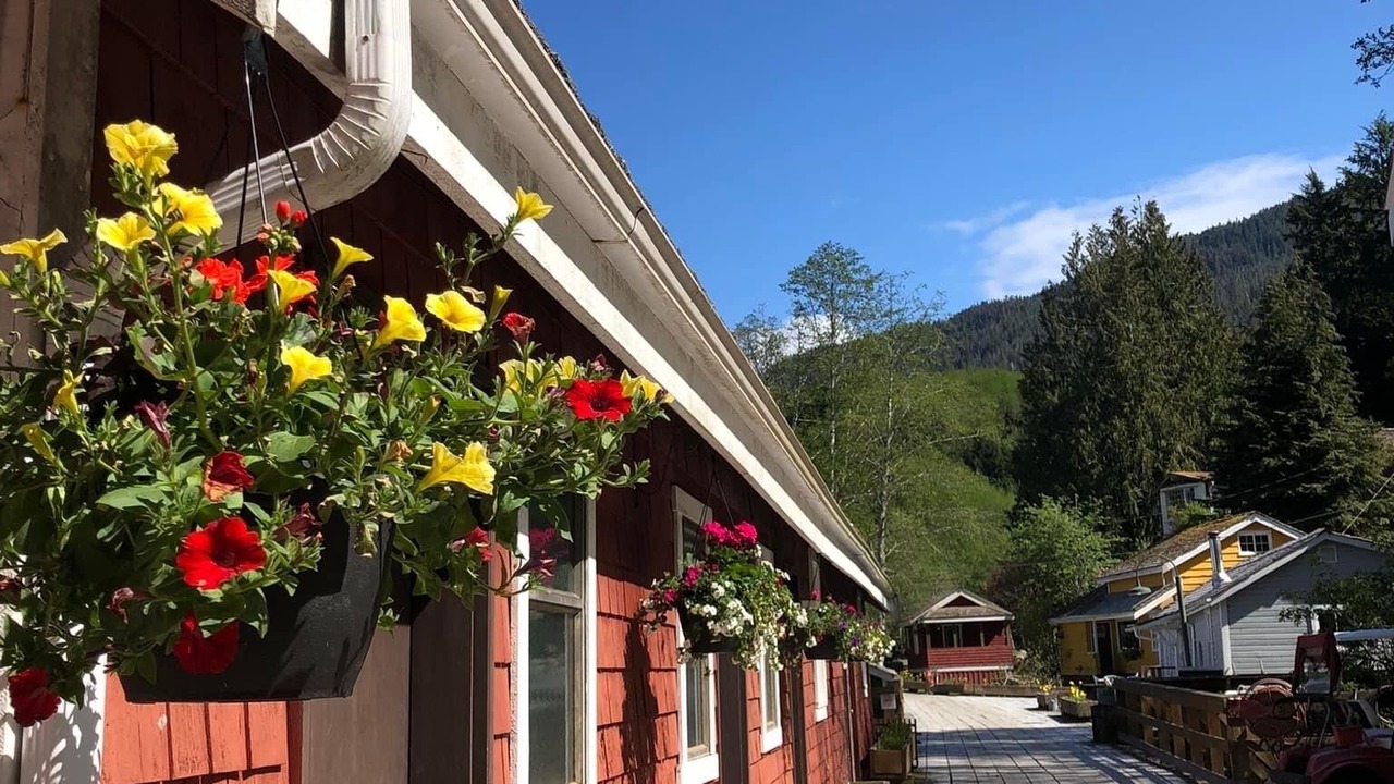 Photo of Outdoor in Telegraph Cove