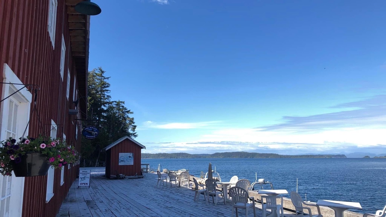 Photo of Outdoor in Telegraph Cove