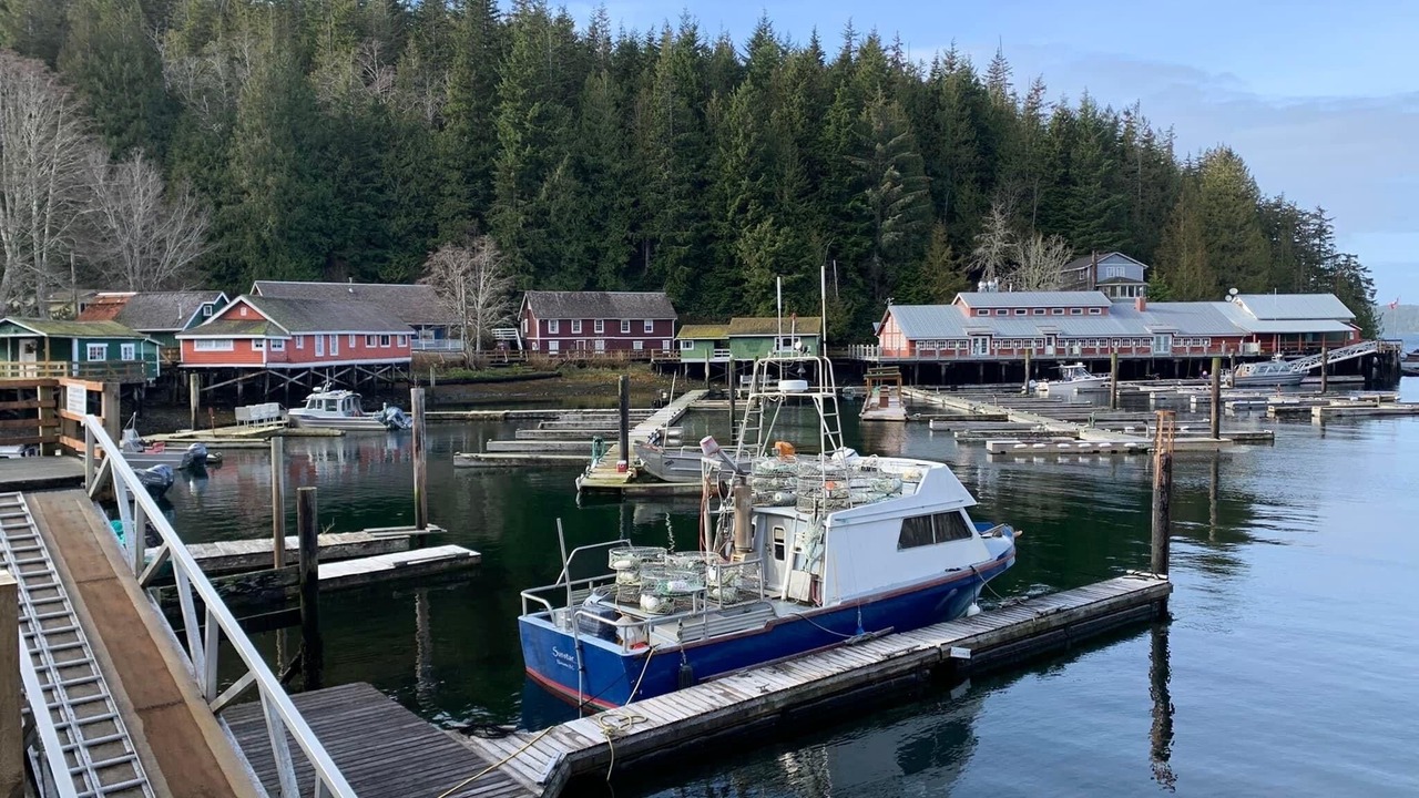 Photo of Others in Telegraph Cove