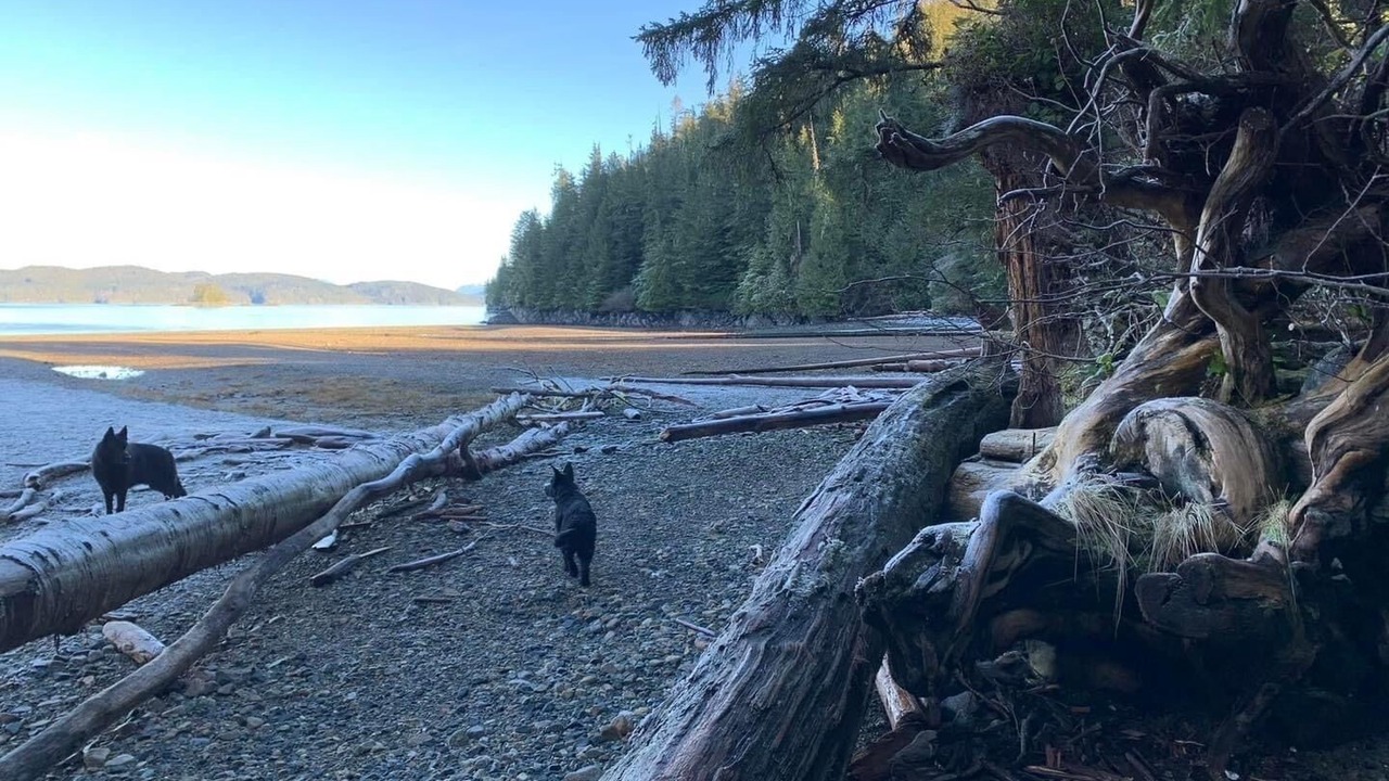 Photo of Others in Telegraph Cove
