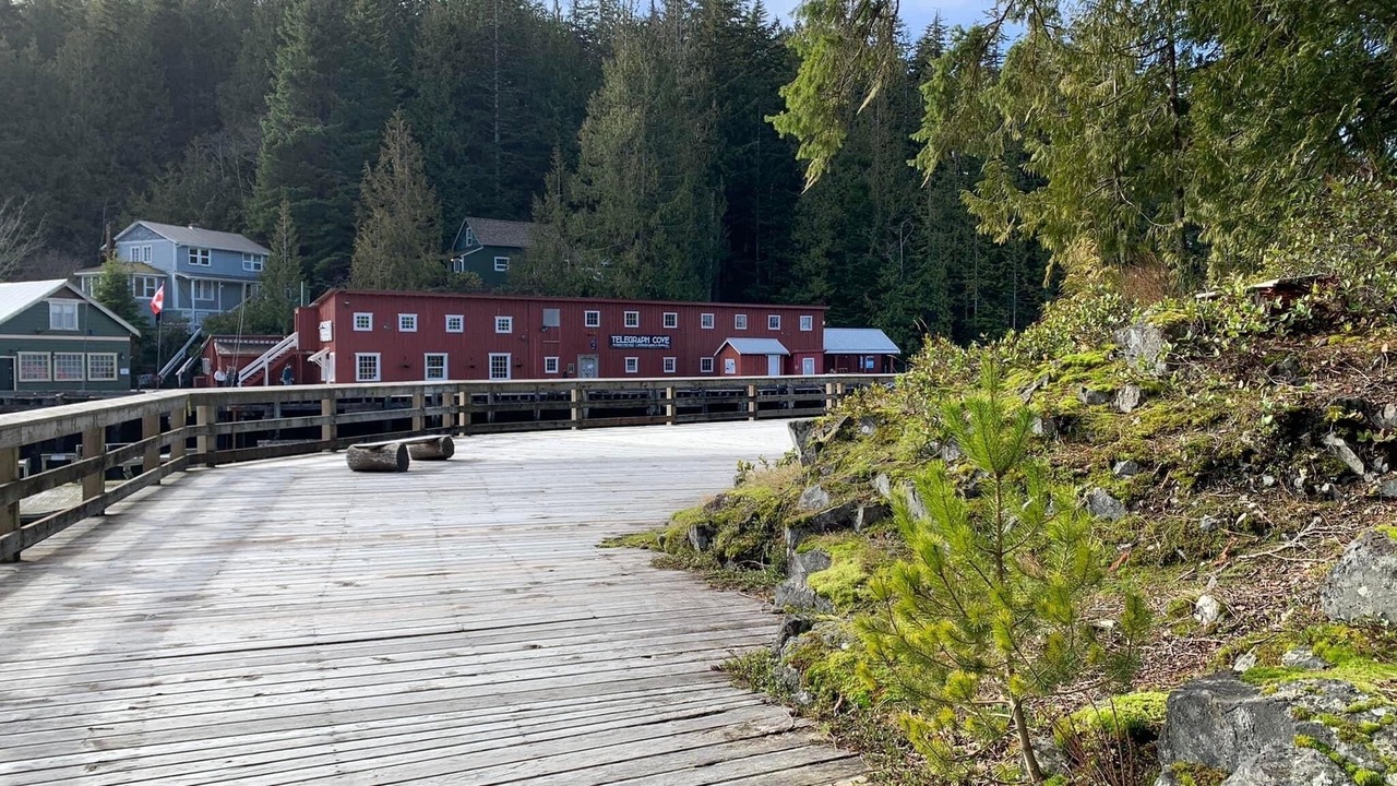 Photo of Others in Telegraph Cove