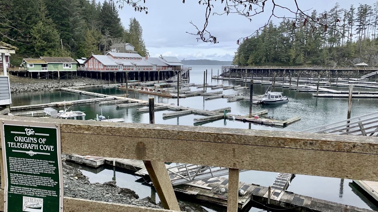 Photo of Others in Telegraph Cove