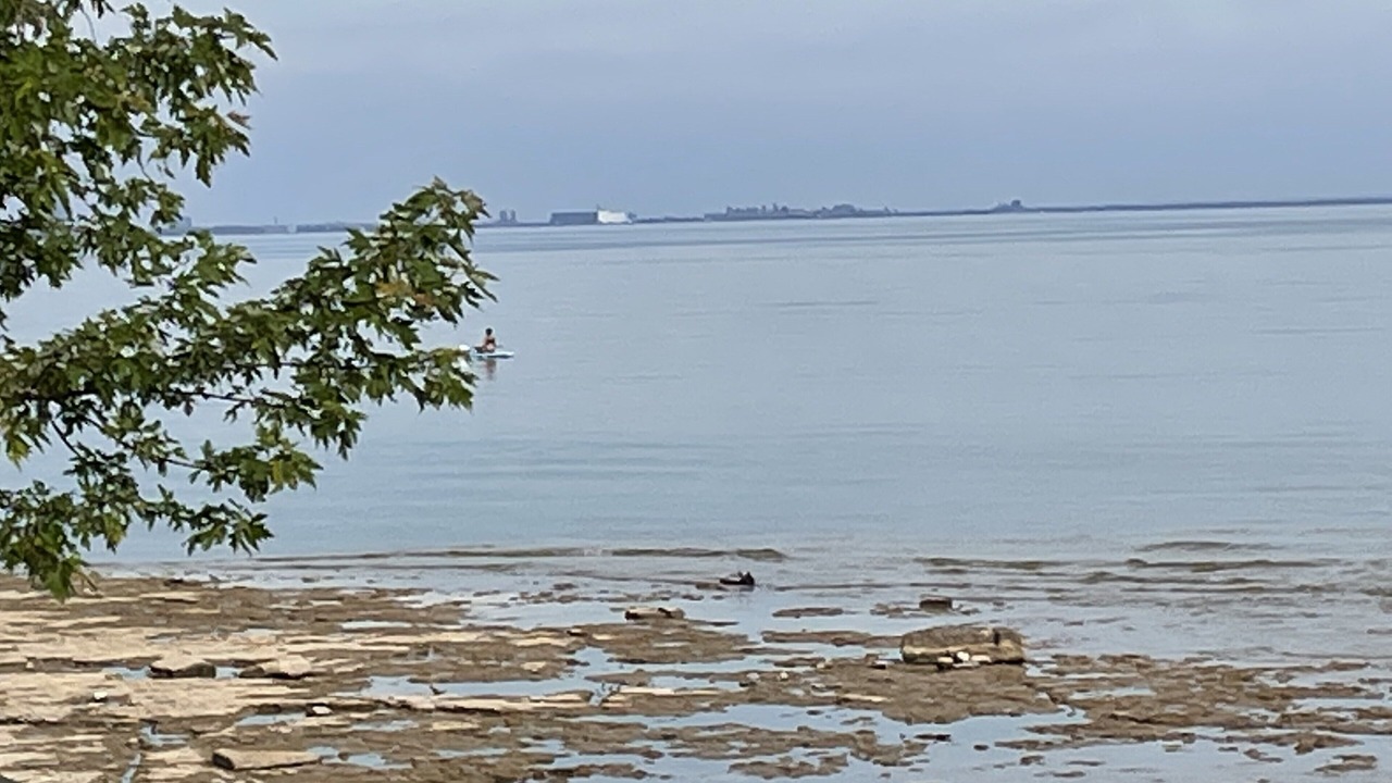 Photo of Others in Crystal Beach