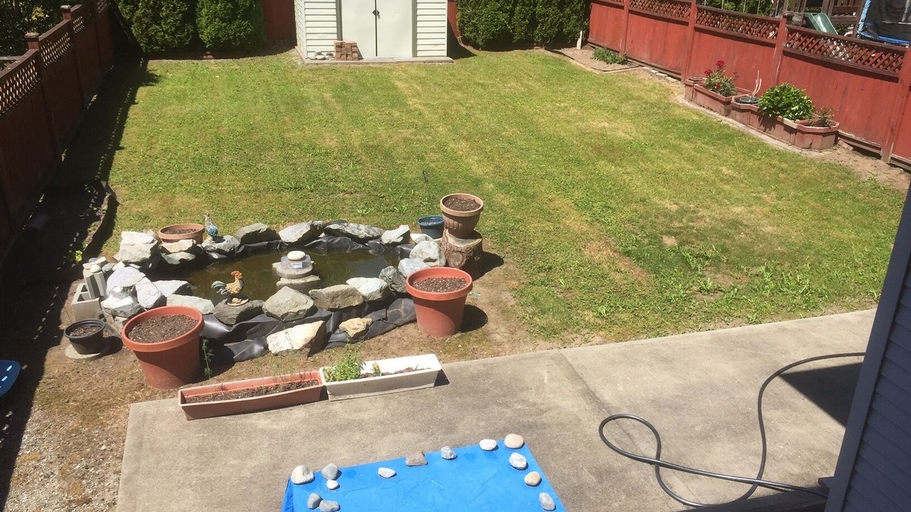 Photo of Outdoor in Maple Ridge