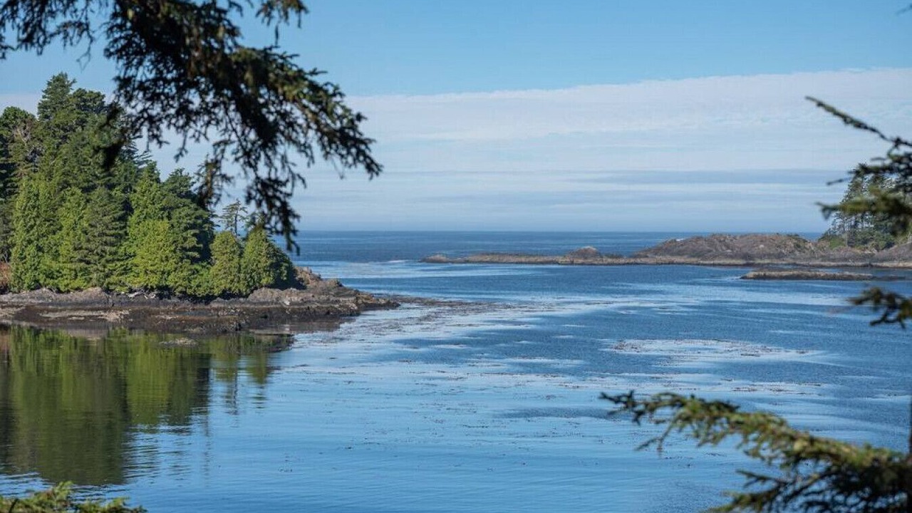 Photo of Others in Ucluelet